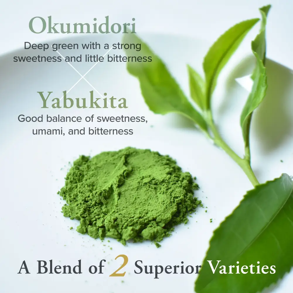 Authentic Japanese Tea Ceremonial Grade Uji Matcha ASAGAO 50g(1.76oz) - Image 7