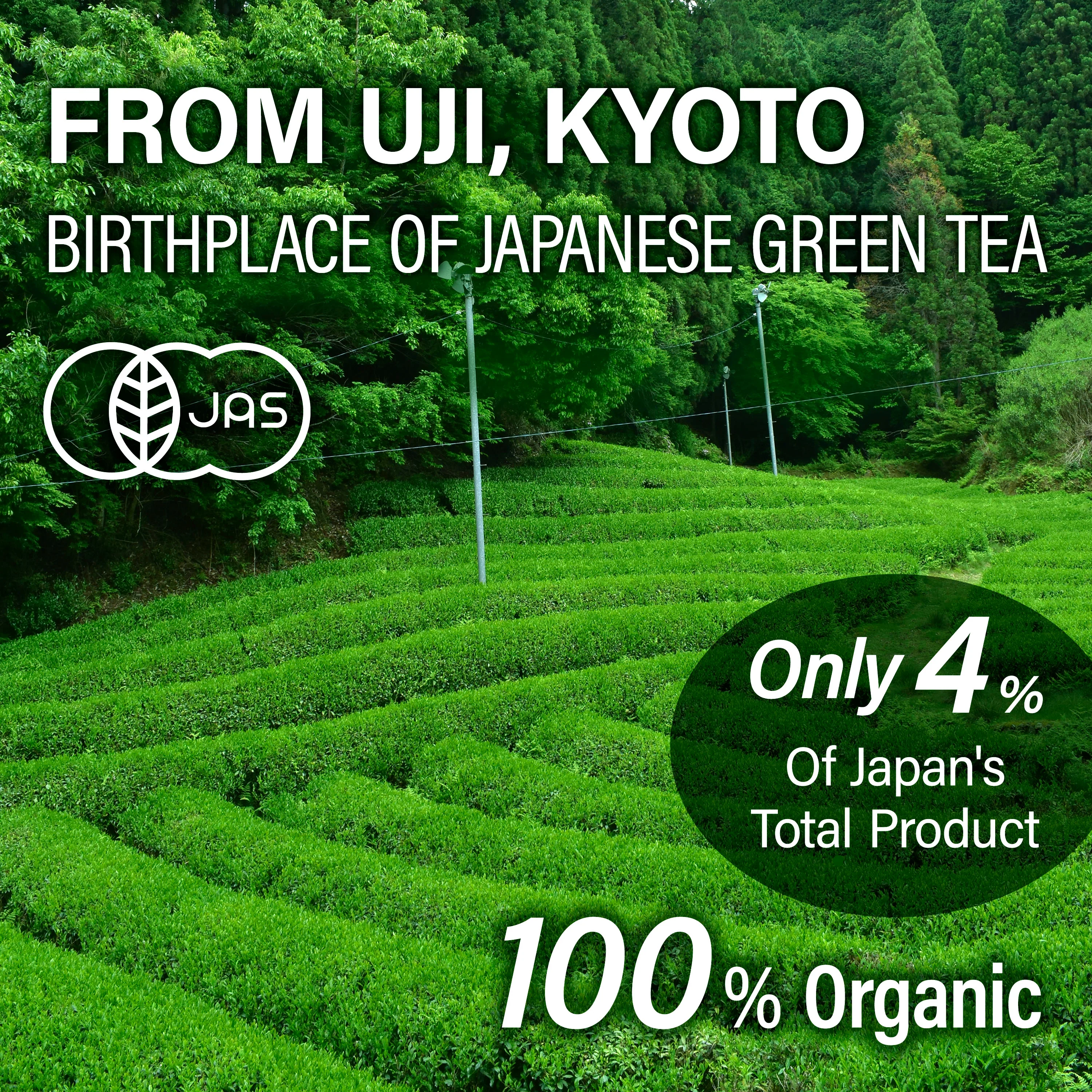 Organic Sencha Green Tea (Loose Leaf) - Image 8